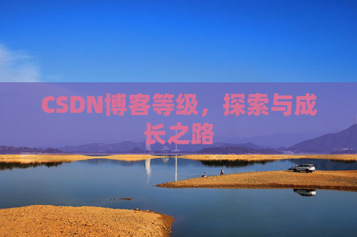 CSDN博客等级，探索与成长之路